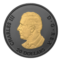 srebrna-moneta-pozlacana-elegancki-lisc-klonowy-2025-1-uncja-1 2