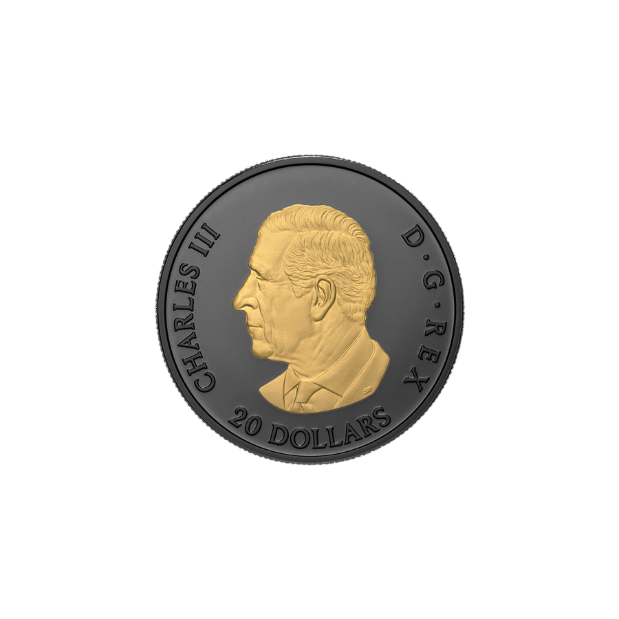 srebrna-moneta-pozlacana-elegancki-lisc-klonowy-2025-1-uncja-2