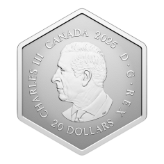 copy of 2024 Snowflake - Pure Silver Coin - 24h Shipping! 2