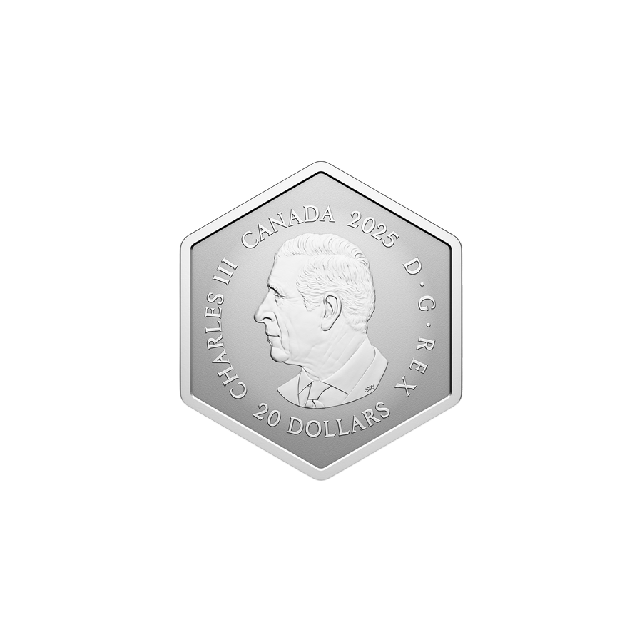 copy of 2024 Snowflake - Pure Silver Coin - 24h Shipping!