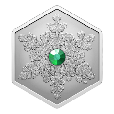 copy of 2024 Snowflake - Pure Silver Coin - 24h Shipping!