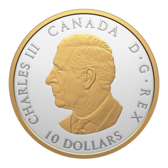 copy of 2025 2 oz Canadian Goose Silver Coin - 24h Shipping! 2