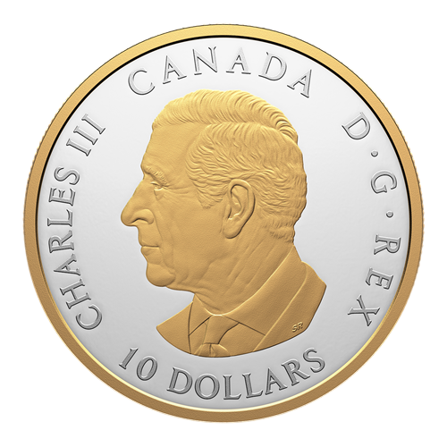 copy of 2025 2 oz Canadian Goose Silver Coin - 24h Shipping!