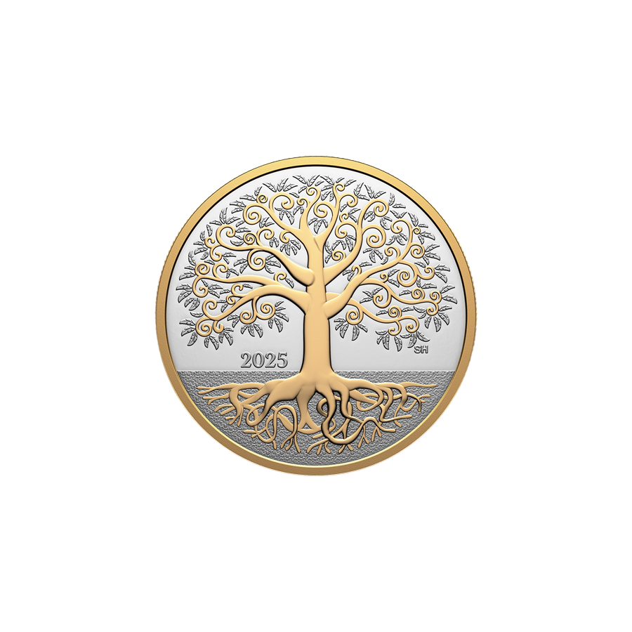 copy of 2025 2 oz Canadian Goose Silver Coin - 24h Shipping!