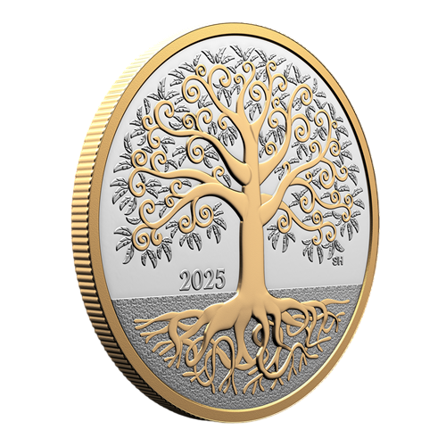 copy of 2025 2 oz Canadian Goose Silver Coin - 24h Shipping!