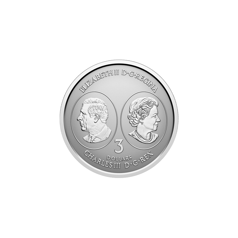 zestaw-5-srebrnych-monet-lisc-klonowy-2026-8