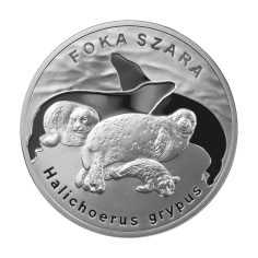 srebrna-moneta-foka-szara-2007-2