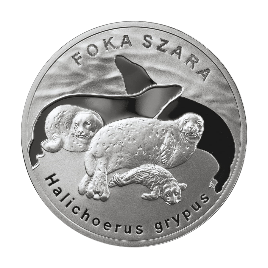 copy of Poland 20 Zloty 2008 Silver Proof Coin – Monuments of Material Culture in Poland: Kazimierz Dolny - 24h Shipping!