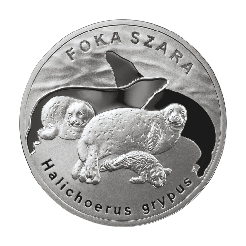 srebrna-moneta-foka-szara-2007-2