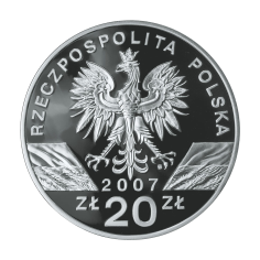 srebrna-moneta-foka-szara-2007-2 2