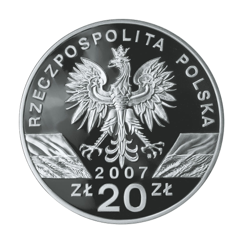 copy of Poland 20 Zloty 2008 Silver Proof Coin – Monuments of Material Culture in Poland: Kazimierz Dolny - 24h Shipping!