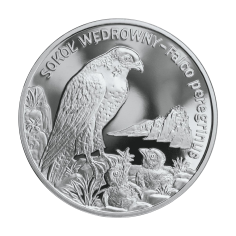 copy of Poland 20 Zloty 2008 Silver Proof Coin – Monuments of Material Culture in Poland: Kazimierz Dolny - 24h Shipping!