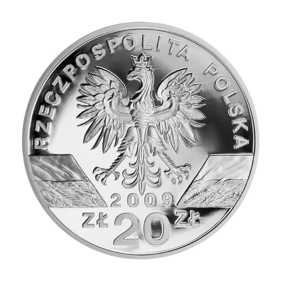 copy of Poland 20 Zloty 2008 Silver Proof Coin – Monuments of Material Culture in Poland: Kazimierz Dolny - 24h Shipping!