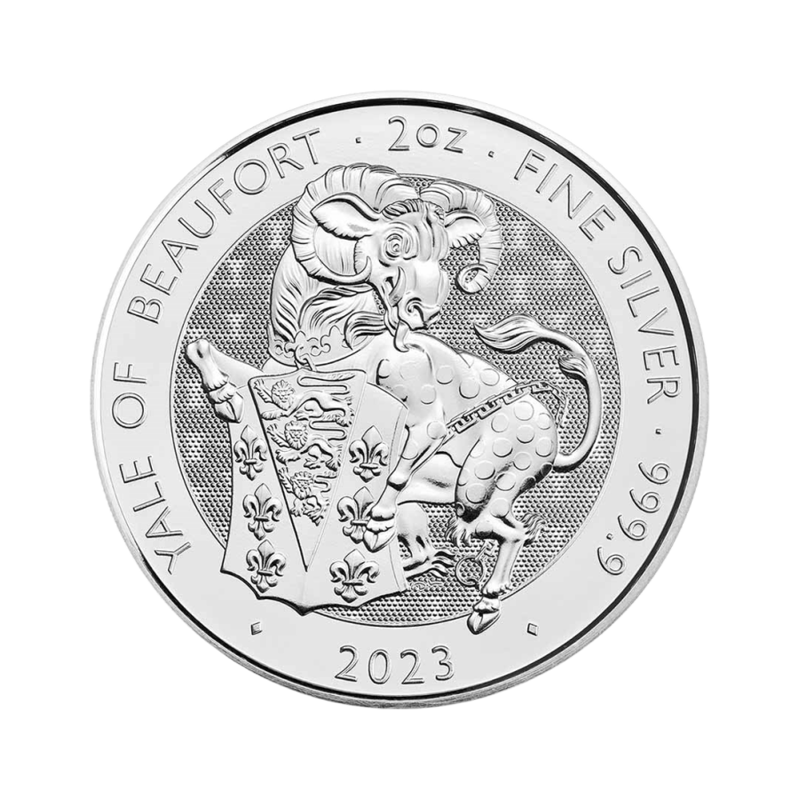 srebrna-moneta-niesortowana-2-uncje-srebra-3