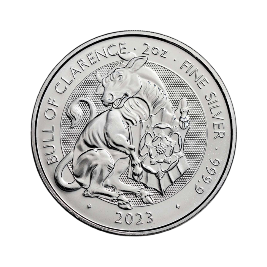 srebrna-moneta-niesortowana-2-uncje-srebra-4