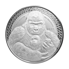 srebrna-moneta-goryl-srebrnogrzbiety-1-uncja-2023-1