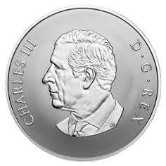 srebrna-moneta-witaj-na-swiecie-rewers 2