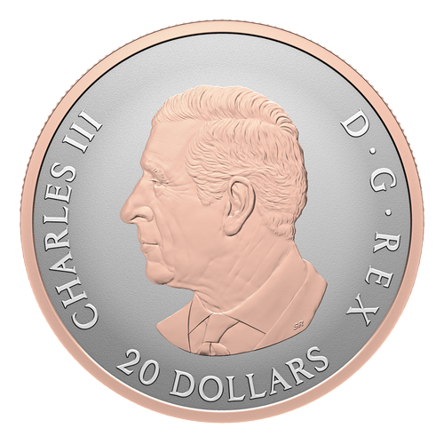 srebrna-moneta-slubna-20-cad-celebrate-love-2026-2