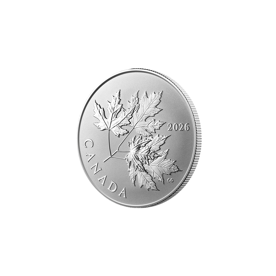 srebrna-moneta-lsniace-liscie-klonowe-2026-3