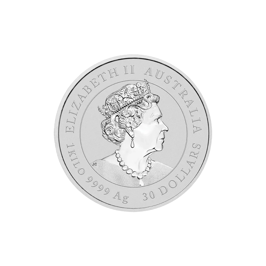 srebrna-moneta-rok-myszy-2020-1000-g-1-kg-1