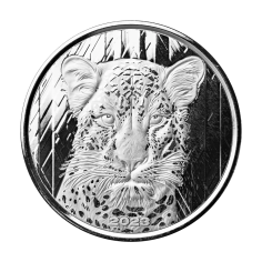 srebrna-moneta-ghana-african-leopard-1-uncja-1-uncja-1