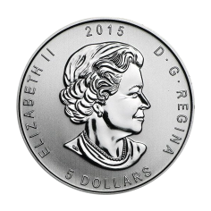 srebrna-moneta-puchacz-wirginijski-1-uncja-1 2