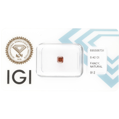 diament-naturalny-042-ct-natural-fancy-deep-brown-orange-si-2-vg-1