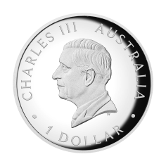 srebrna-moneta-kolorowy-australijski-kangur-1-uncja-2026-high-relief-1 2