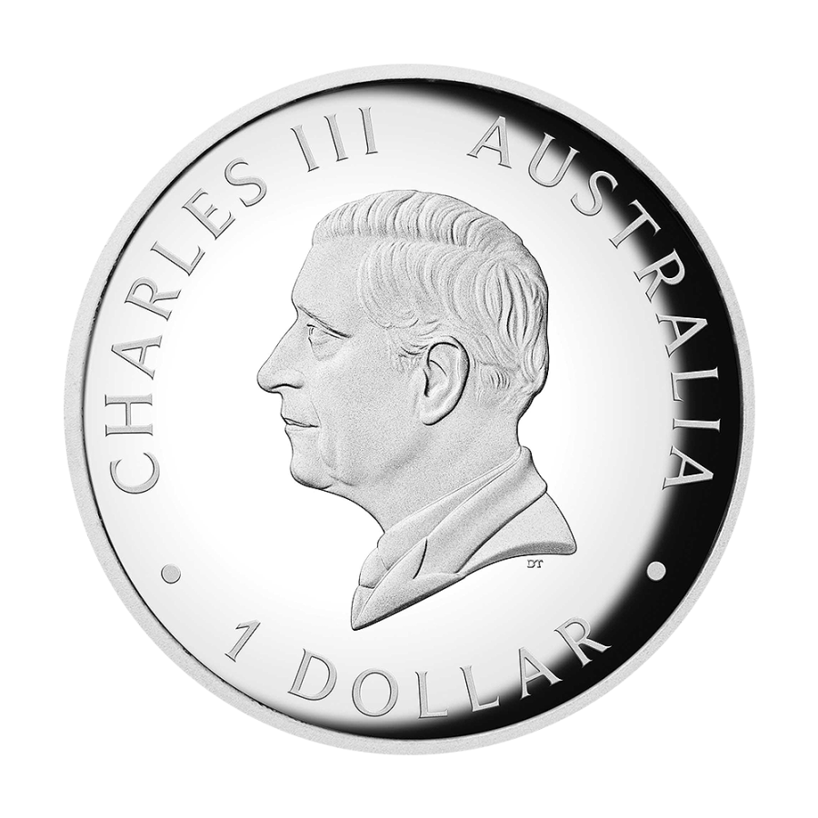 srebrna-moneta-kolorowy-australijski-kangur-1-uncja-2026-high-relief-4