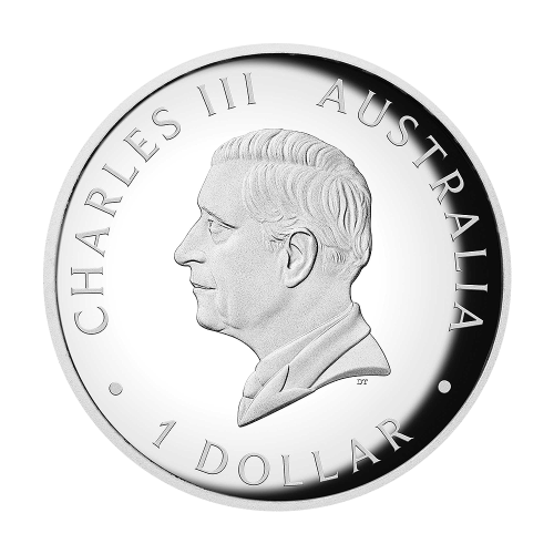 srebrna-moneta-kolorowy-australijski-kangur-1-uncja-2026-high-relief-4