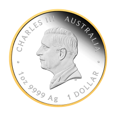 srebrna-moneta-pozlacana-175-rocznica-pierwsza-australijska-goraczka-zlota-1-uncja-2026-1 2