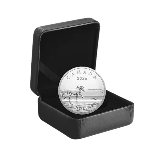 srebrna-moneta-konie-z-wyspy-sable-1-uncja-2026-2