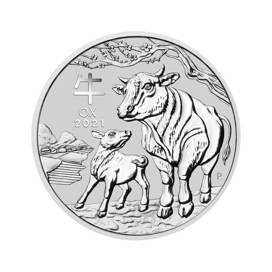 srebrna-moneta-niesortowana-5-uncji-srebra-4