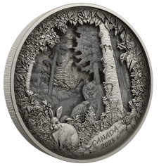 srebrna-moneta-predator-or-prey-in-shadow-box-8
