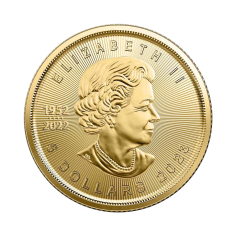 gold-coin-coin-liver-clone 1 to 10 ounces of gold-awers 2