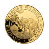 gold-coin-coin-ivory-1-ounce-gold-reverse