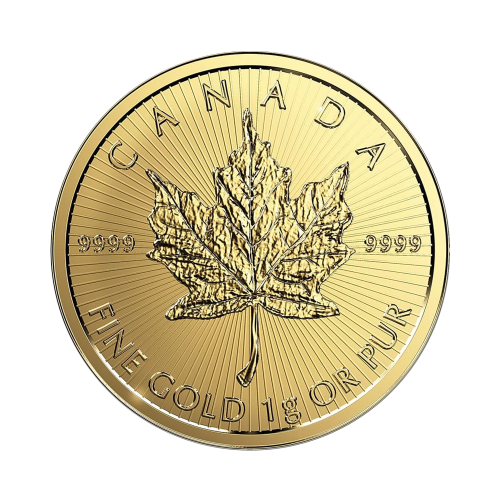25 × 1 g Canadian Gold Maple Leaf Coins - 24h Shipping!