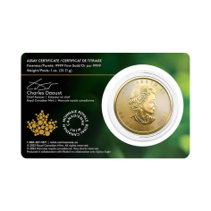 gold-coins-coin-maple-leaf-single-mine-1-ounce-gold-1 2