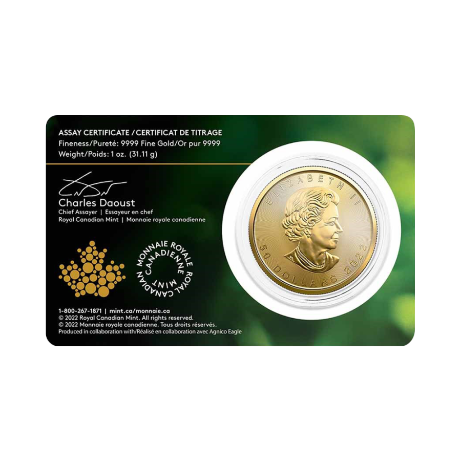 gold-coins-coin-maple-leaf-single-mine-1-ounce-gold-2