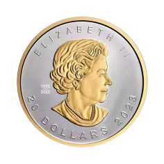 It's a very high relief silver coin 2