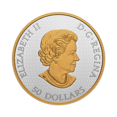 The five-ounce silver coin 2