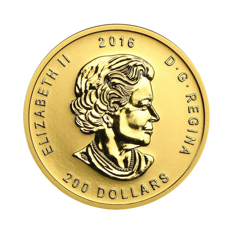 zlota-moneta-zew-natury-grizzly-1-oz-rewers