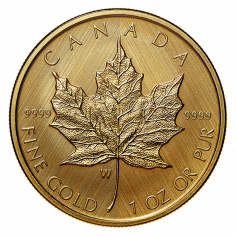 this item is intended to accommodate: