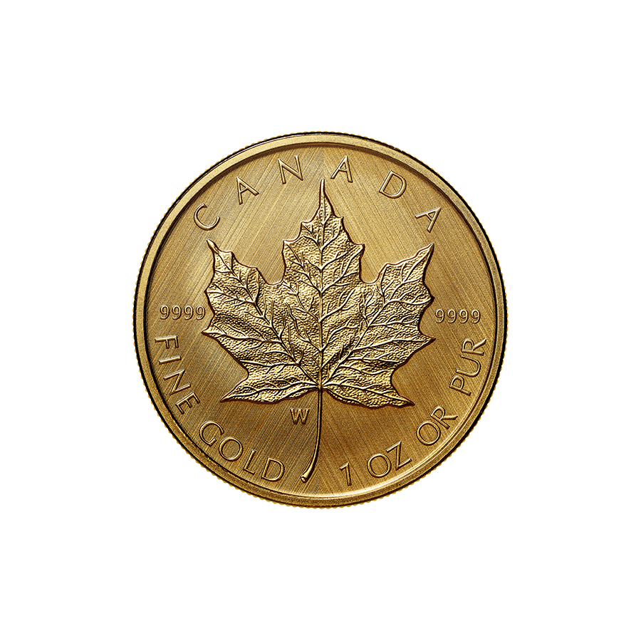 this item is intended to accommodate: