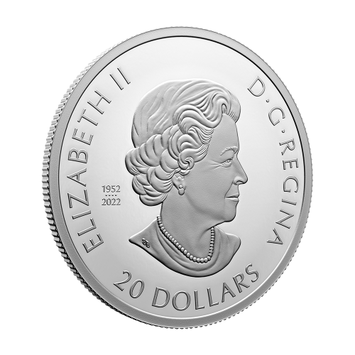 silver-coin-glow-in-the-dark-magic-of-the-season-2023-awers2' is the name of the game