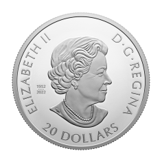 silver-coin-glow-in-the-darkness-magic-of-the-season-2023-reversed" is the name of the game 2