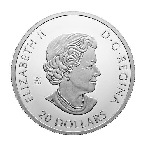 silver-coin-glow-in-the-darkness-magic-of-the-season-2023-awers" is the name of the game