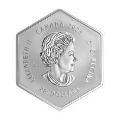 srebrna-moneta-20-CAD-sniezynka-z-krysztalem-2023-rewers 2