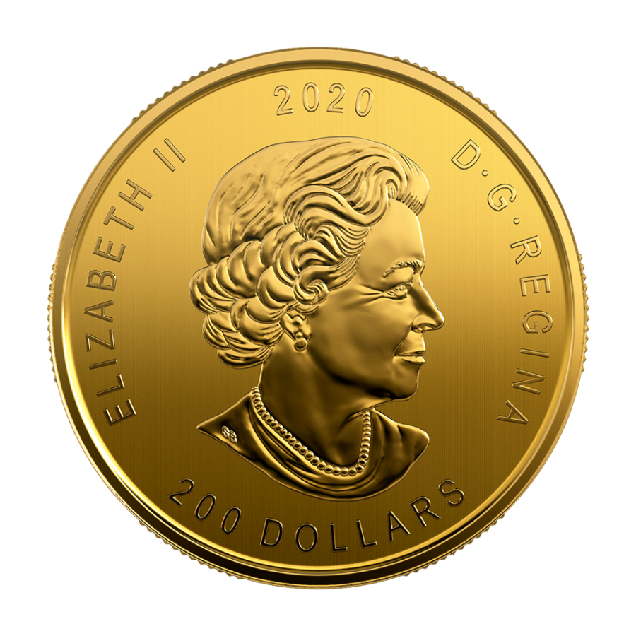 zlota-moneta-zew-natury-rys-1-uncja-awers