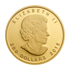 zlota-moneta-zew-natury-puma-1-uncja-rewers 2